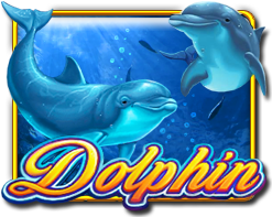OceanParadise