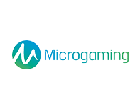 MICRO GAMING SLOT