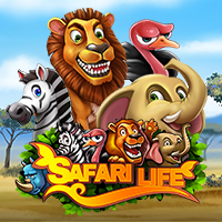 Safari Life